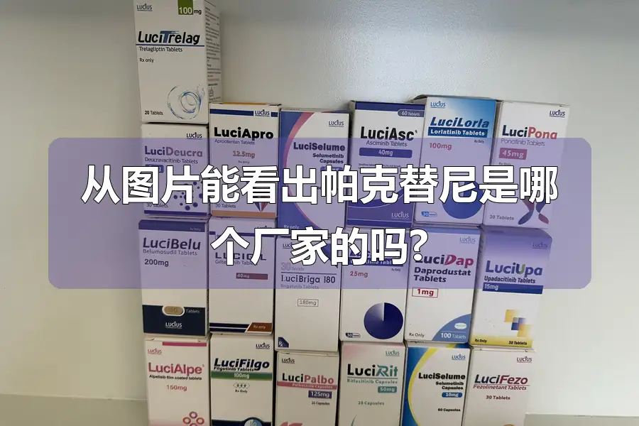 从图片能看出帕克替尼是哪个厂家的吗?